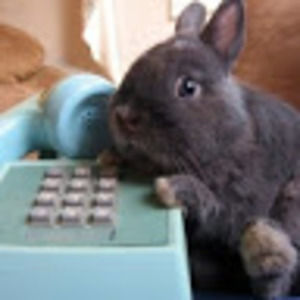 Meet your Posher, Gaby